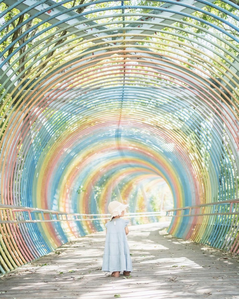 兵庫県立播磨中央公園(兵庫県)