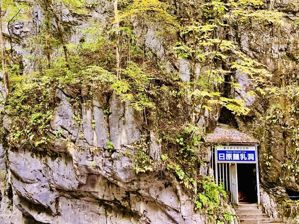 日原鍾乳洞 (東京都) Nippara Limestone Cave