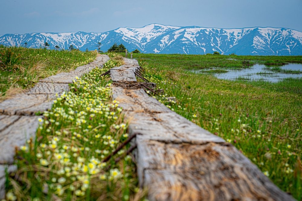 尾瀬国立公園 Oze National Park