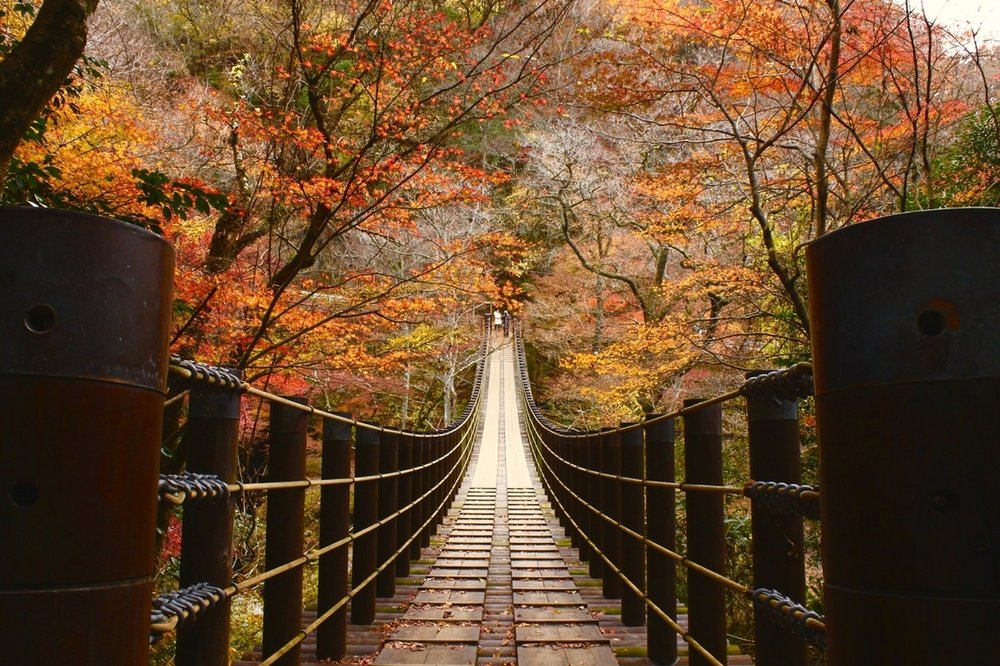 花貫渓谷 Hananuki Valley