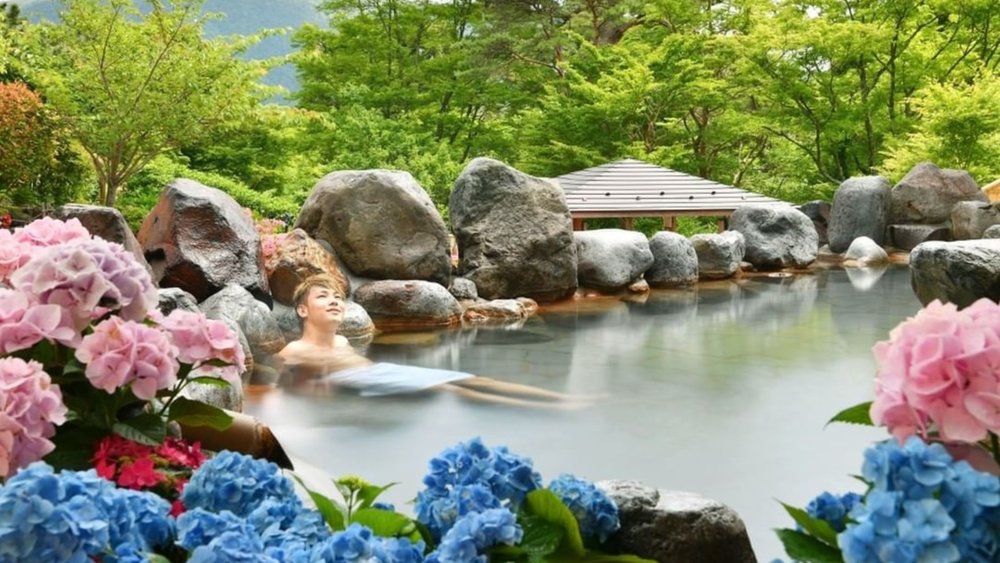 This warm bath with a view is what dreams are made of! Credits to @japankuru