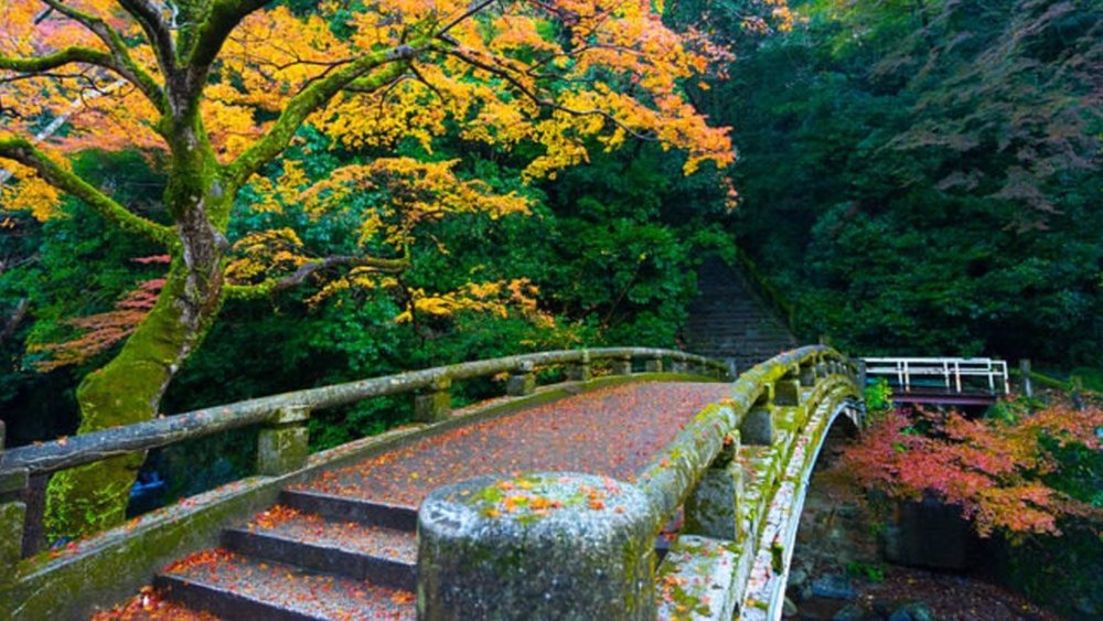Relish in the colours of autumn at Minoo Park.  Credits: Kanokpol Tokumhnerd on Flickr