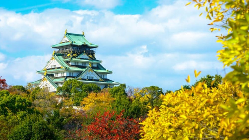 Have a picnic surrounded by golden ginkgo trees near Osaka Castle.