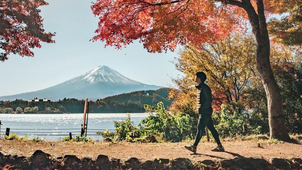 Be welcomed by the golden and crimson leaves when you visit Japan from September to December. Credits: @armypalakorn on Instagram