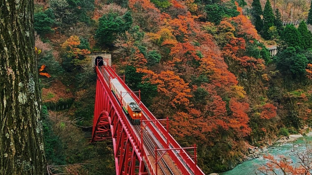 The best thing about Japan’s autumn is the perfect weather! Credits: Ajeng Larasati on Unsplash