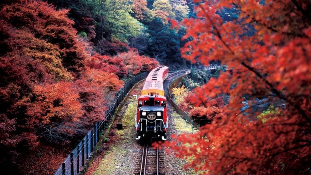A ride on the Sagano Romantic Train is perfect for couple getaways. Credits: Sagano Romantic Train