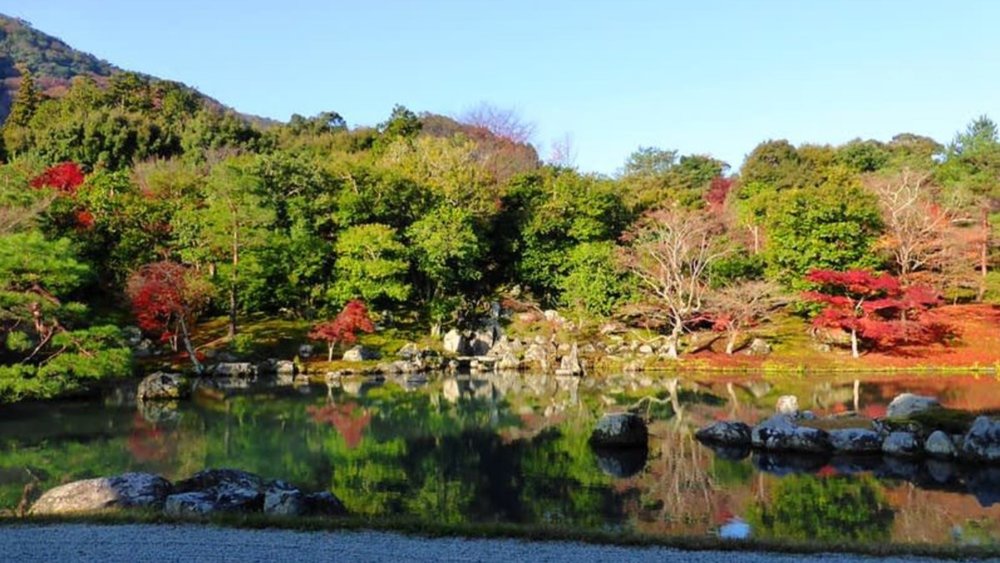 Visit Tenryuji Temple, a UNESCO World Heritage Site with spectacular autumnal views.