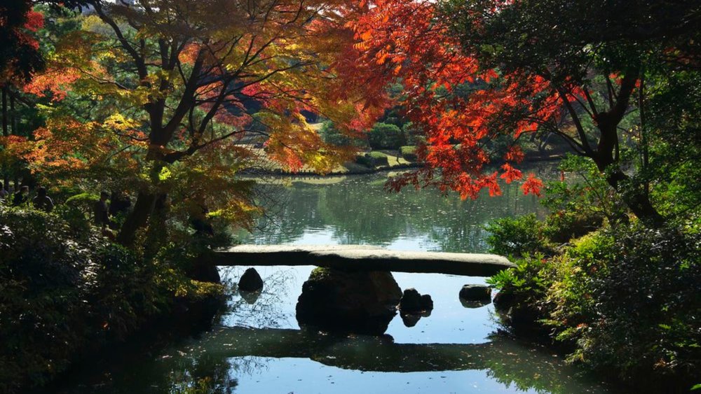 Get ready for a fall photoshoot at the well-manicured garden of Rikugien!