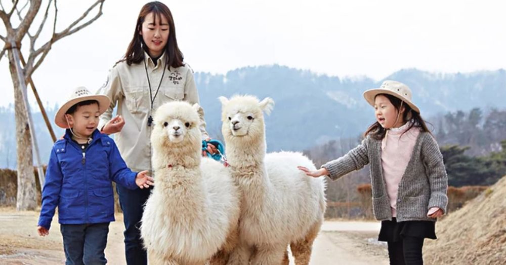 tour-du-lich-han-quoc