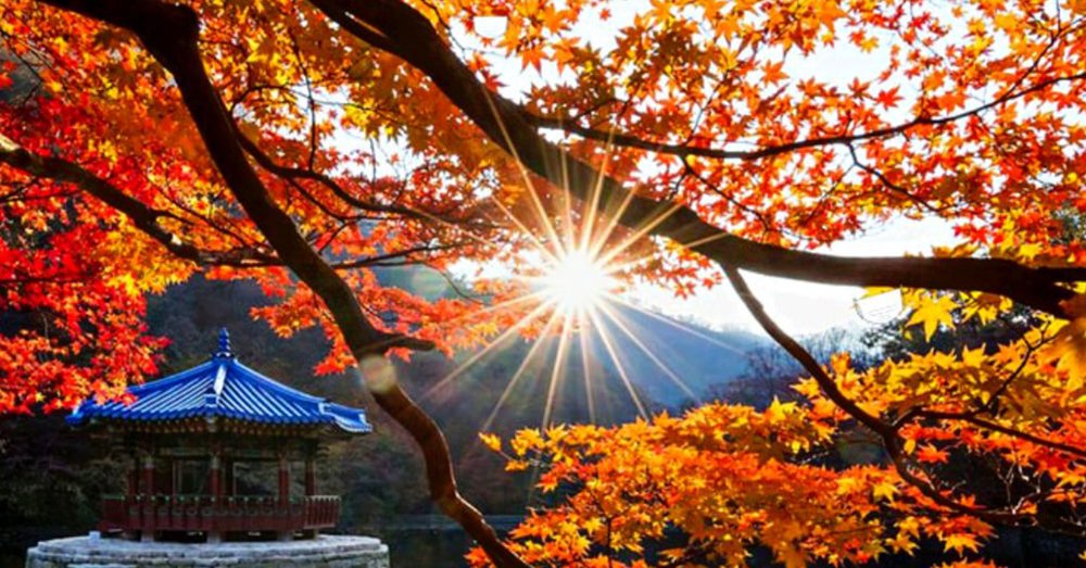 tour-du-lich-han-quoc