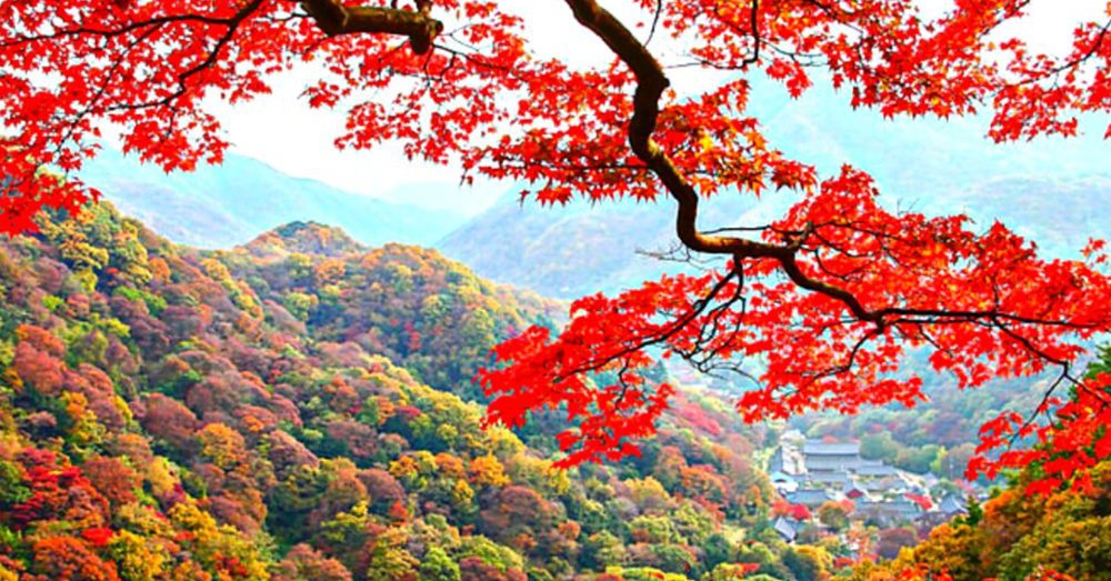 tour-du-lich-han-quoc