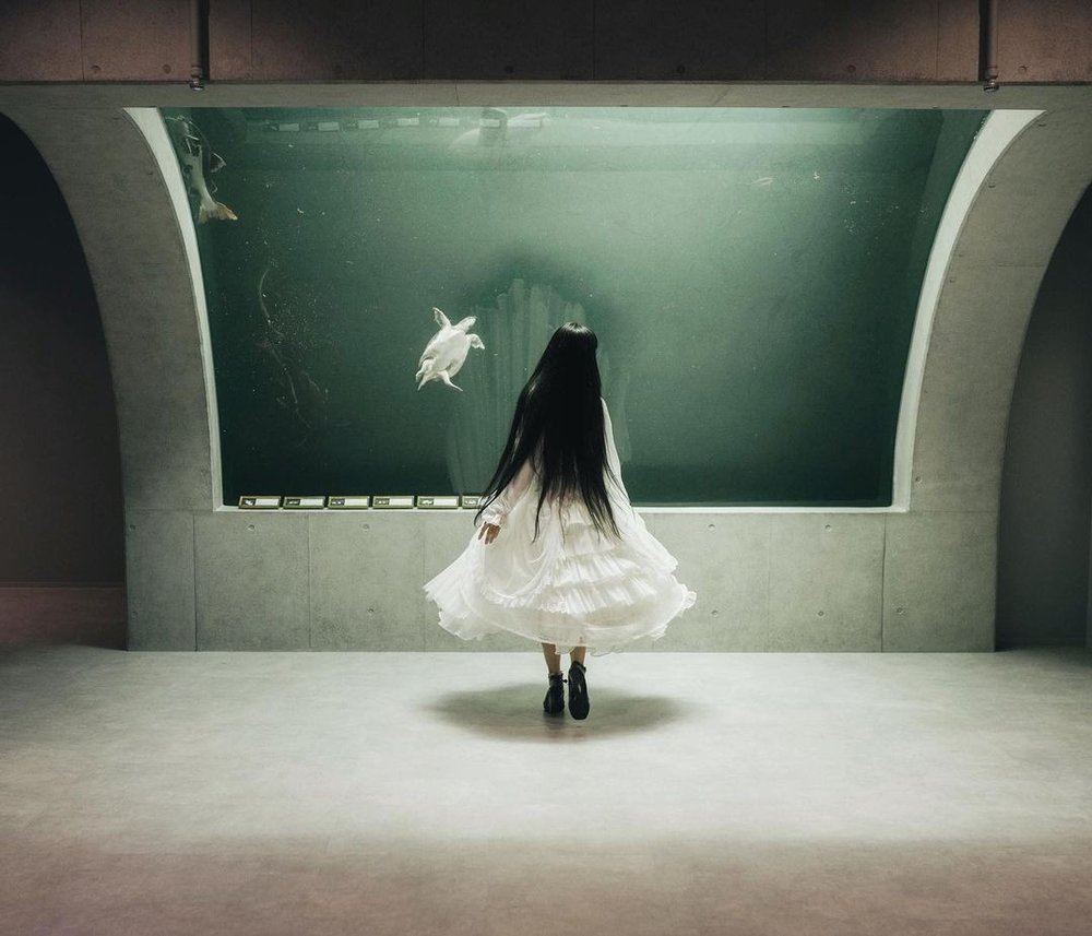 アトア オーバーハング水槽「atoa sky」