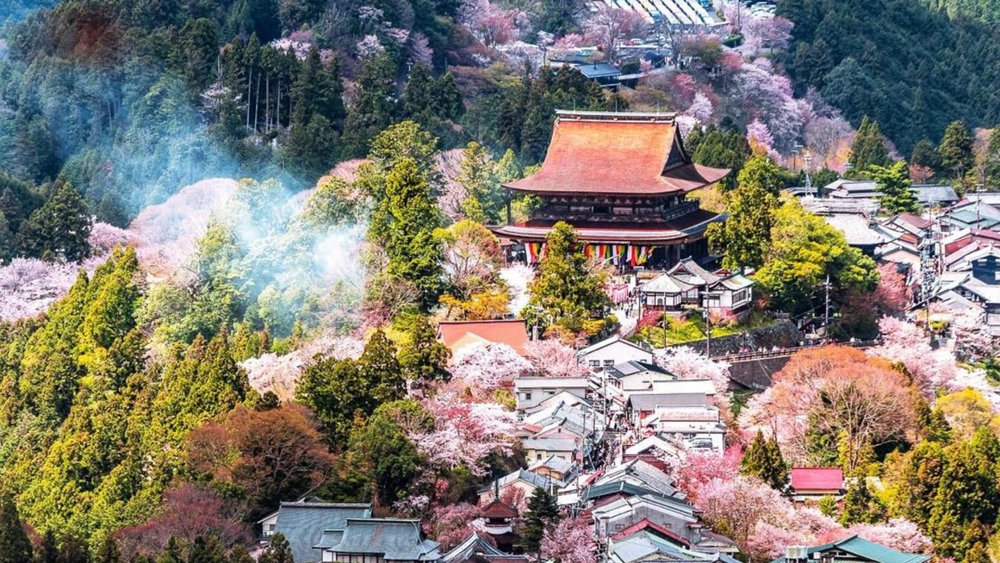 The architecture of Mount Yoshino dotted with cherry blossoms makes a postcard-perfect image.  Credits: @korrokej on Instagram