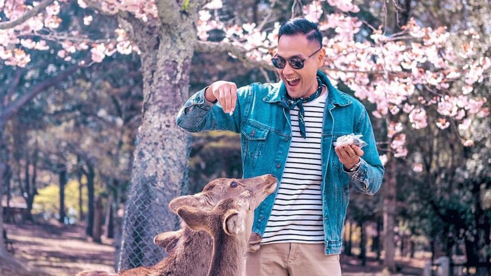 Meet the free-roaming deer of Nara Park as the cherry blossoms bloom.  Credits: @mhartoto on Instagram