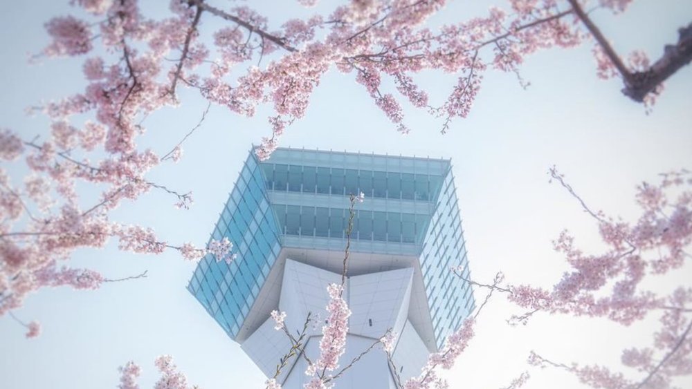 Hokkaido is perfect for nature lovers and adrenaline junkies! Credits: korrokej on Instagram