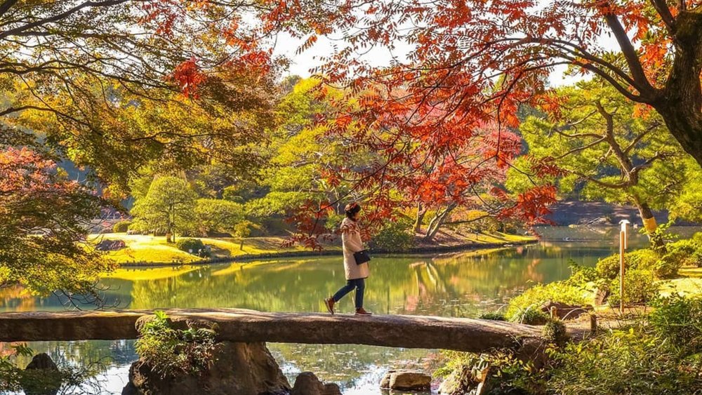 The autumn landscape looks straight out of a painting!