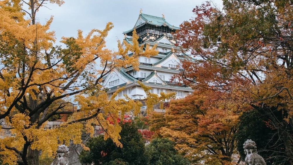 You will find unusual souvenirs in Japan during autumn. Credit to @alventurepictures on Instagram.