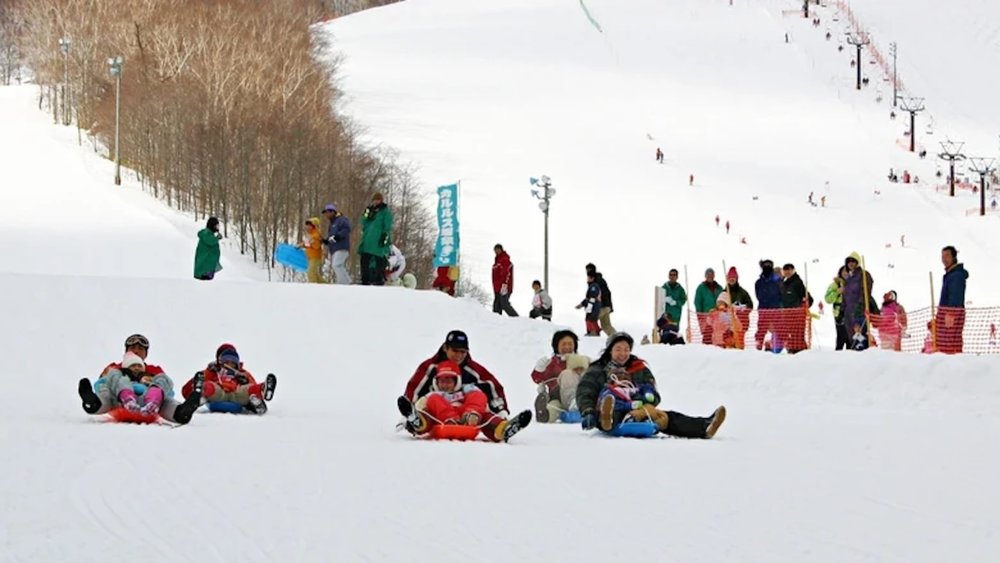 Skiing beginners and advanced skiers will enjoy this resort!