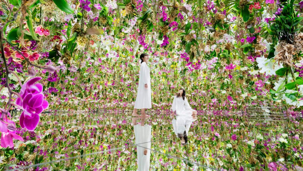 Bring the outside inside at teamLab Planets.