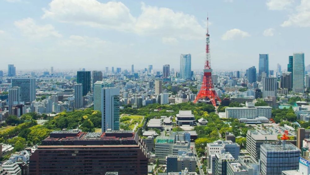 No need to force yourself to wake up early; afternoon tours are available!