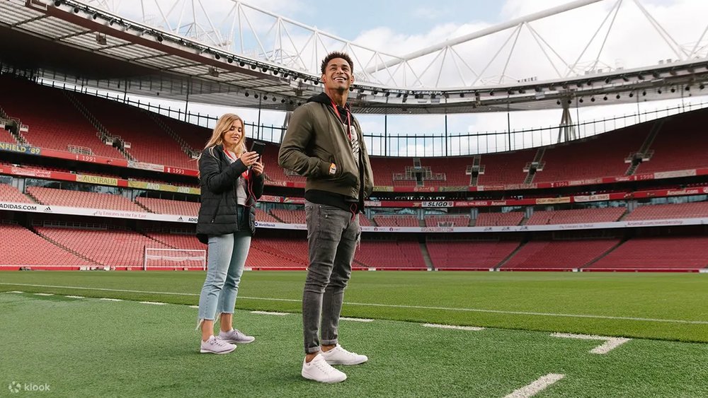 pitch of the Emirates Stadium