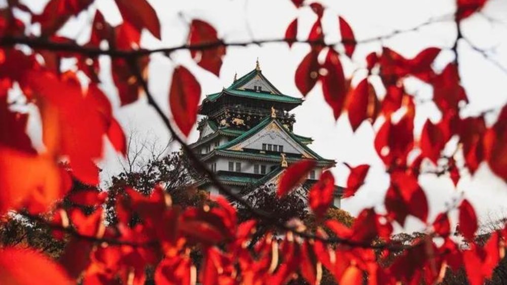 Get the best view of Osaka when you climb to the peak of the castle. Photo credits: @kstyle5963 on Instagram