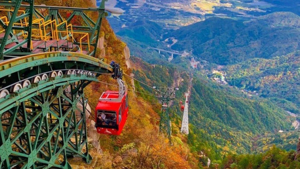 See dyed maple leaves from high above. Photo credits: @ihappytime on Instagram