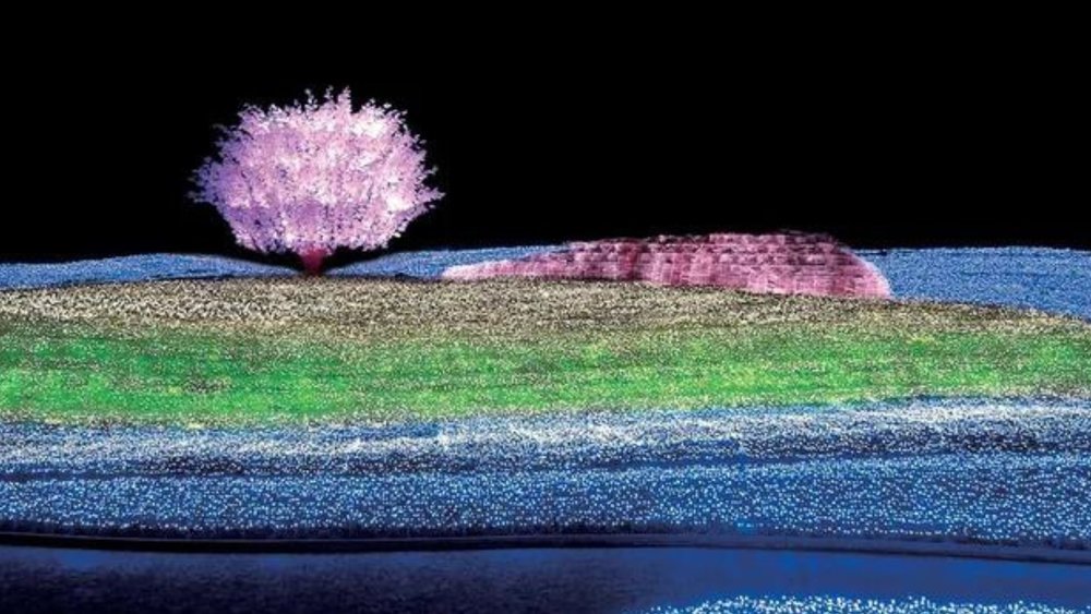 Enjoy Begonia Garden’s light show during a starry night.