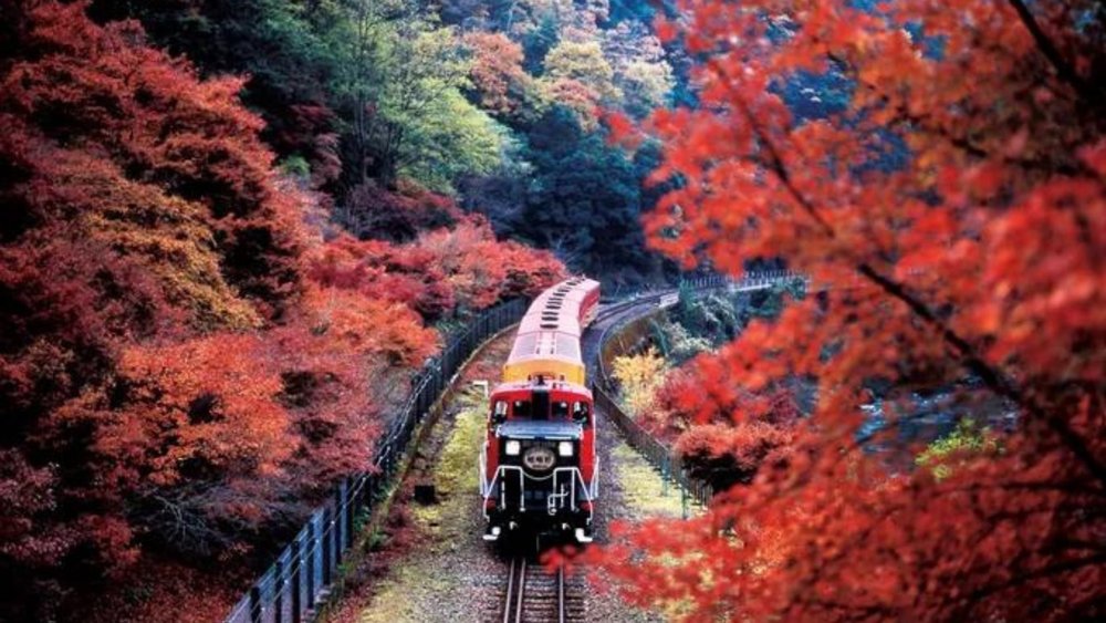 Take your special someone on this romantic train ride. Photo credits: Sagano Romantic Train