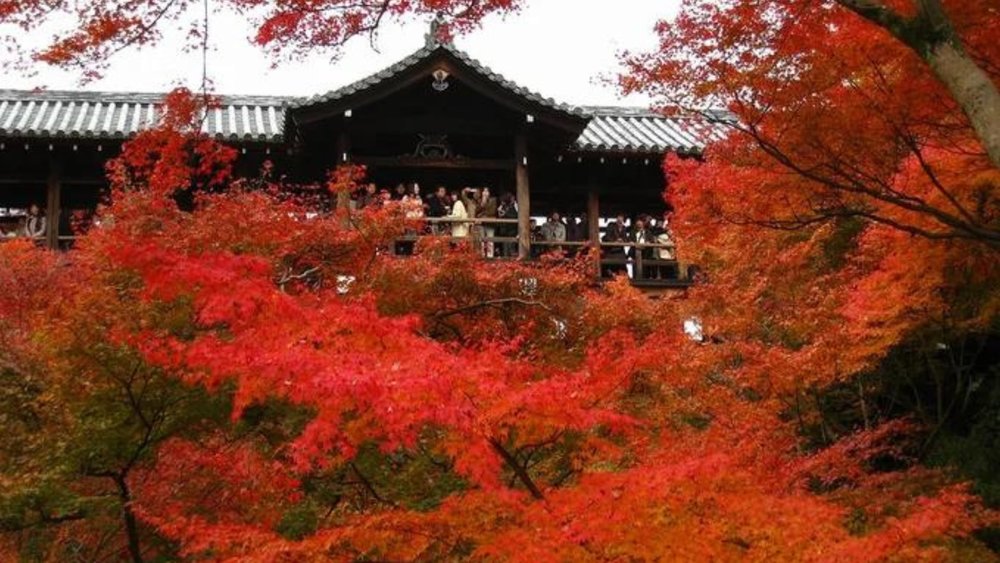 Check out the vibrant red hues at this temple.