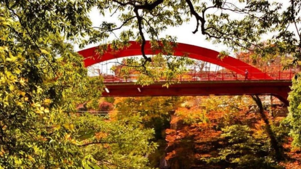 Take pictures on the bridge for the best views of the gorge. Photo credits: @notobachan on Instagram