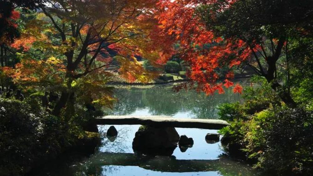 Rikugien has been around since the Edo period. Photo credits: Tokyo Park Association