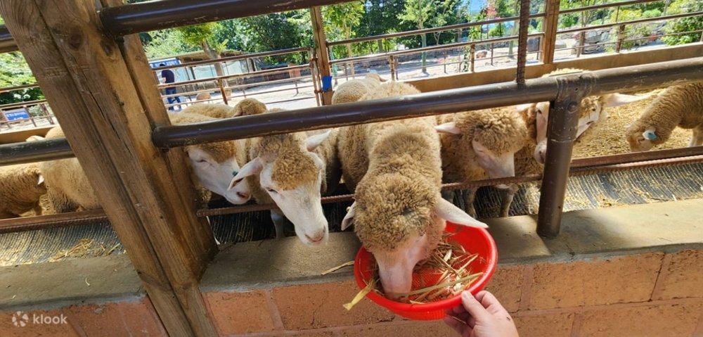 Yangpyeong Dumulmeori day trips from seoul