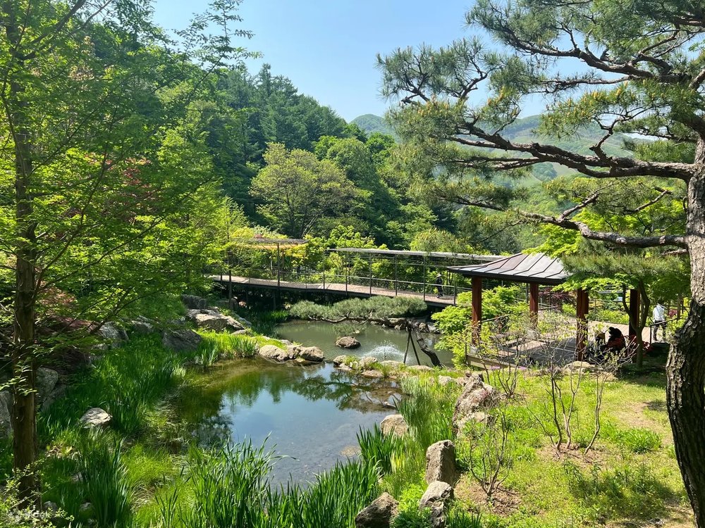 hwadam forest seoul day trips