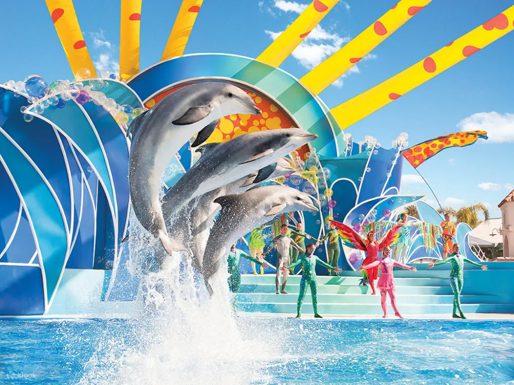Gặp Gỡ Cá Heo Mũi Chai Tại Dolphin Cove
