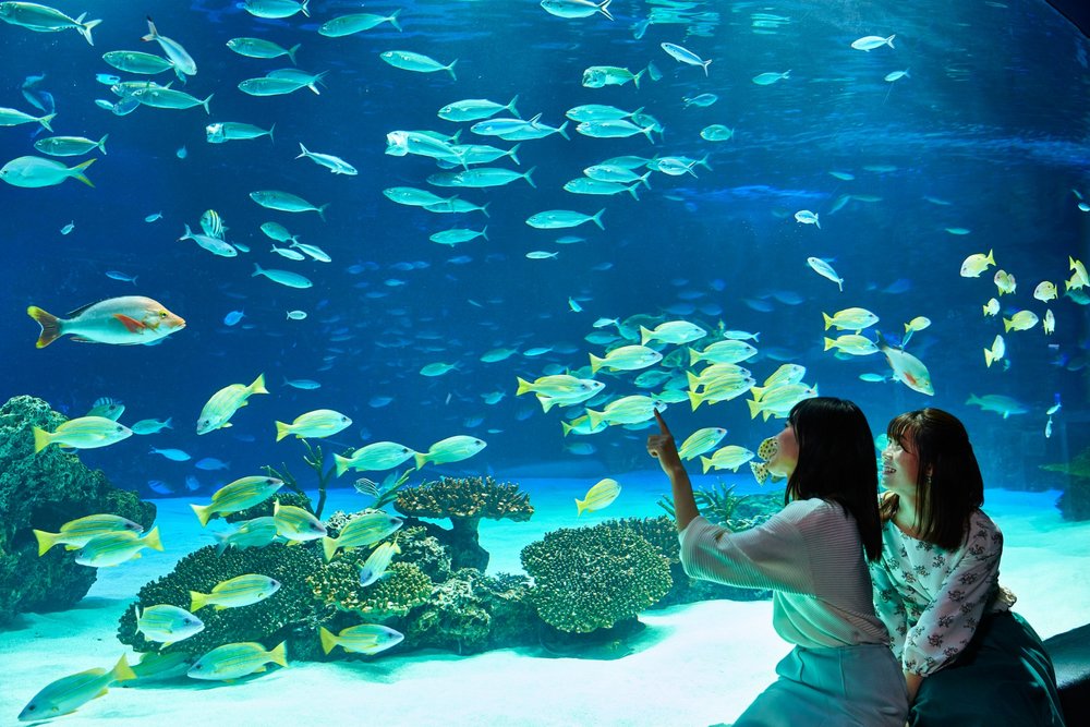 Two ladies posing for a photo beside an aquarium