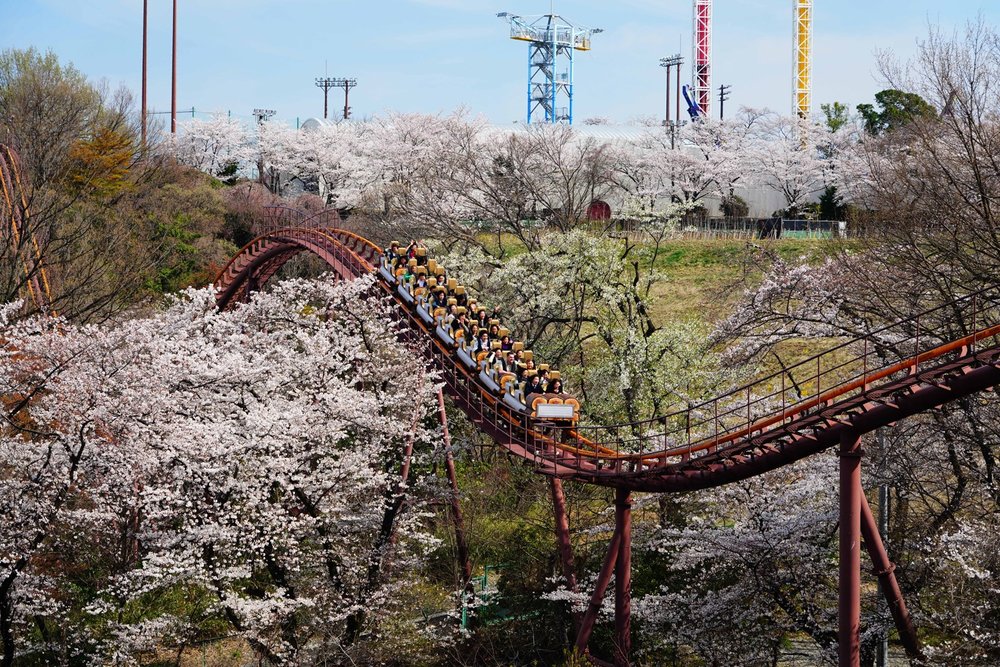People on a roller coaster in Yomiuriland