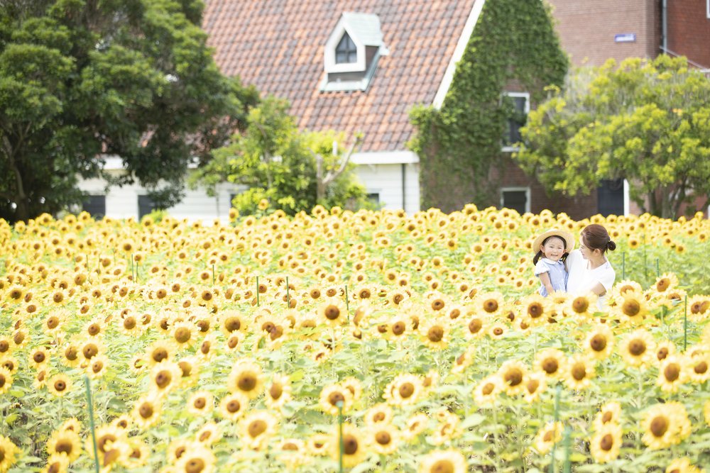 Huis Ten Bosch aesthetic theme park in Japan