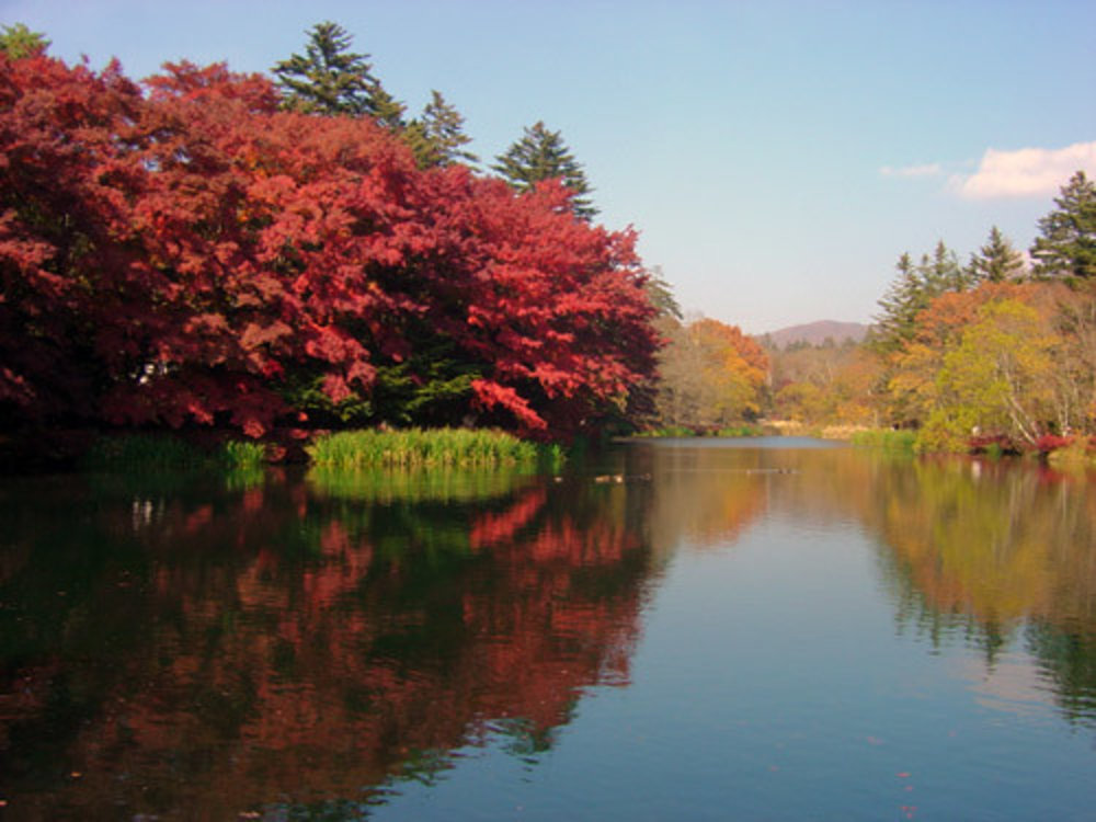 輕井澤天氣與適合旅遊月份