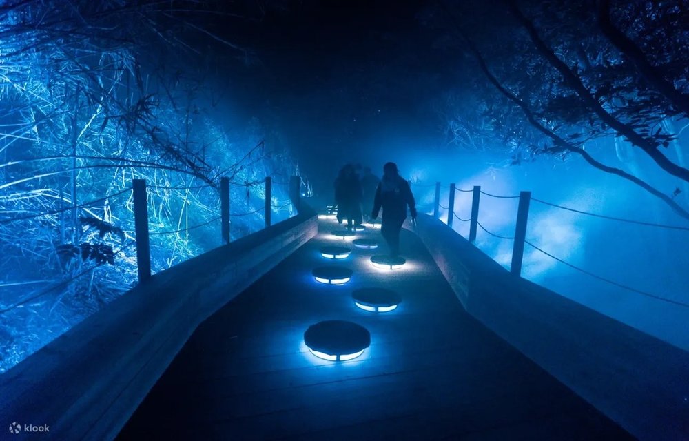 アイランドルミナ Island Illumina