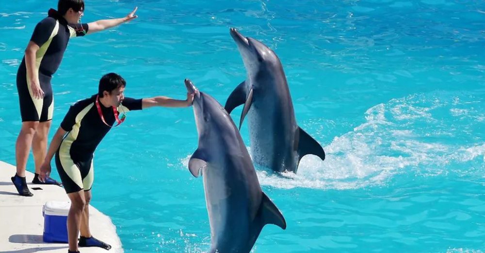 dia-diem-du-lich-dai-bac