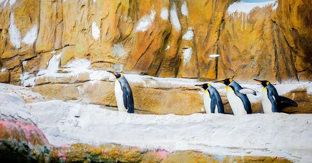 dia-diem-du-lich-dai-bac