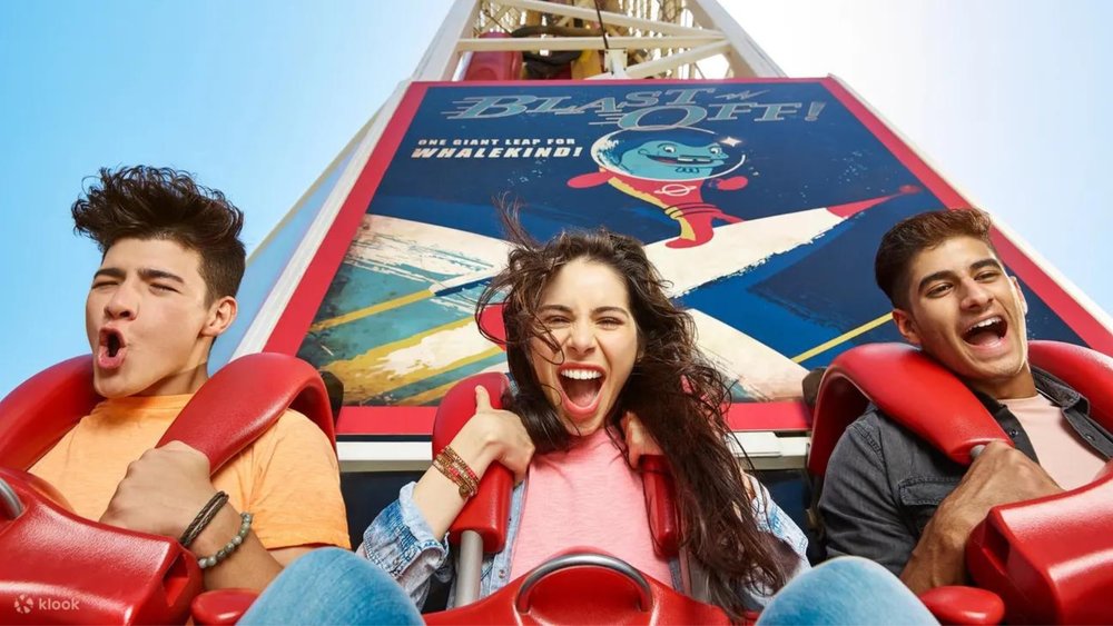 people enjoying a theme park ride