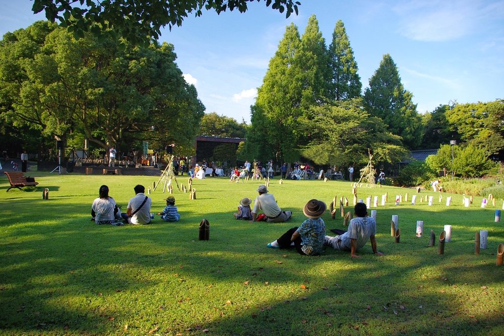 People sitting on grass