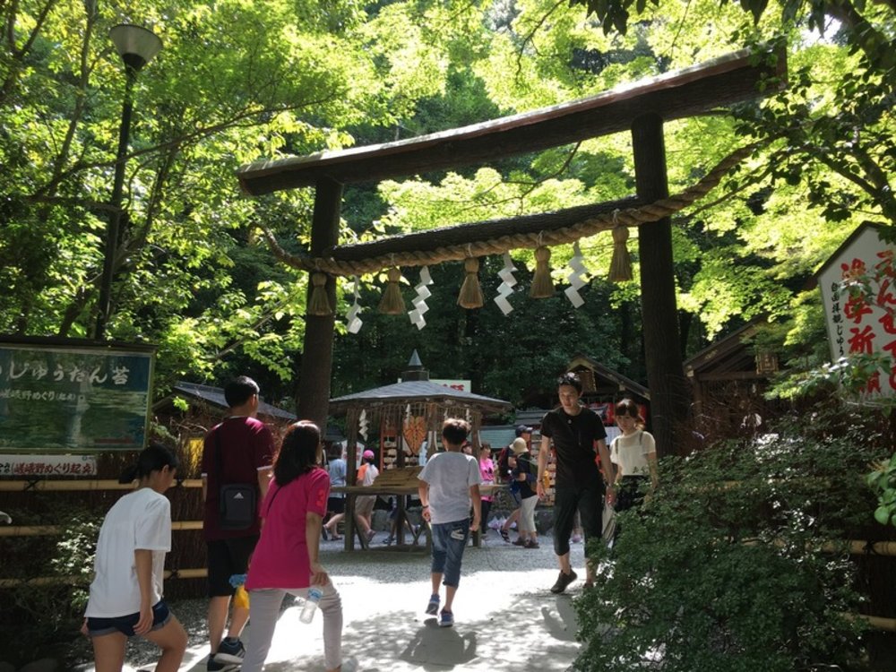 嵐山景點：野宮神社