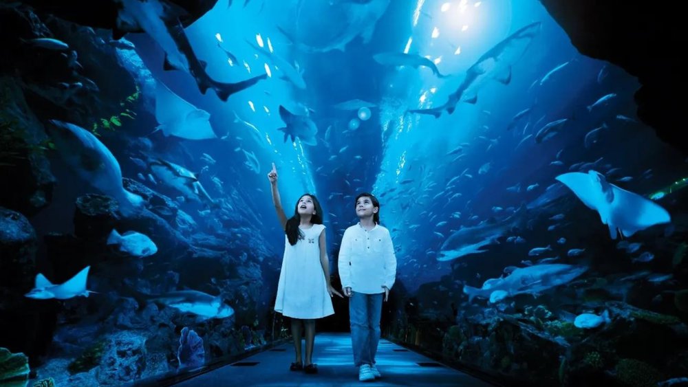kids enjoying all the marine life in Dubai Aquarium and Underwater Zoo