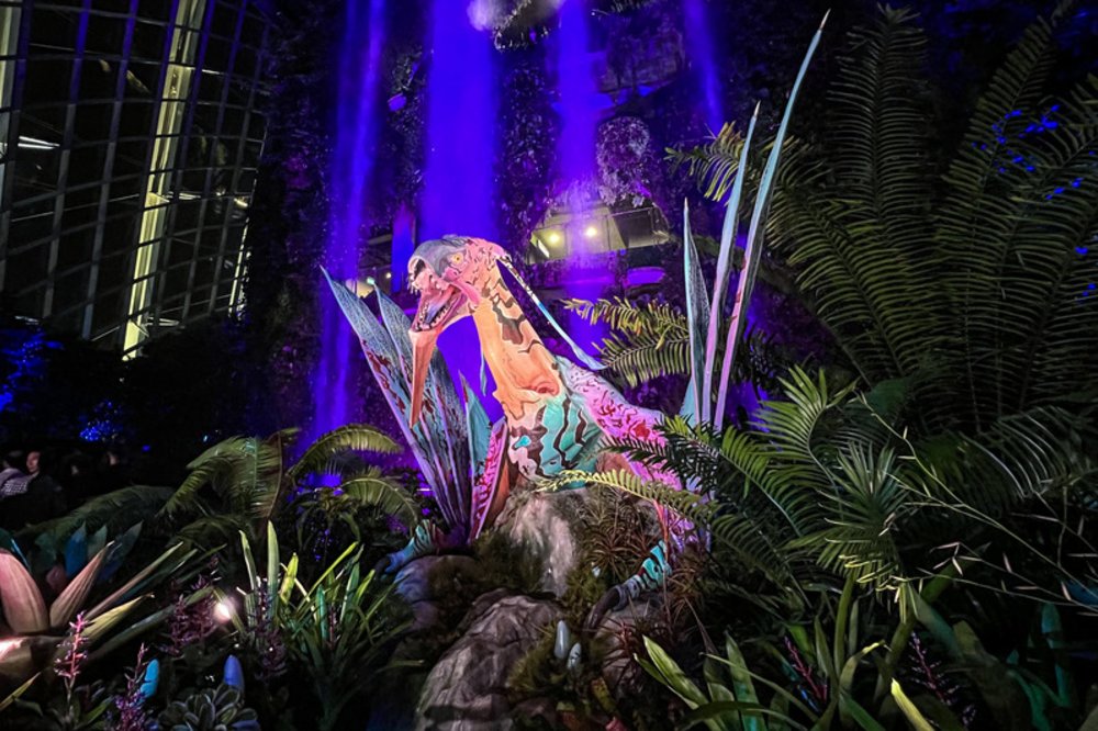 新加玻阿凡達恐龍