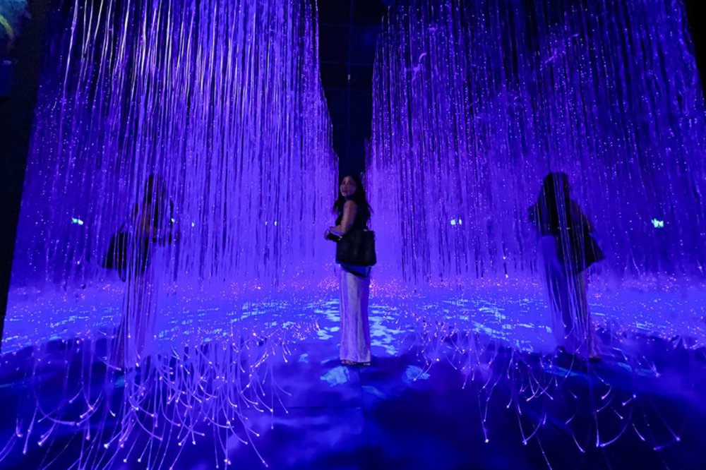 新加坡阿凡達 潘朵拉星球