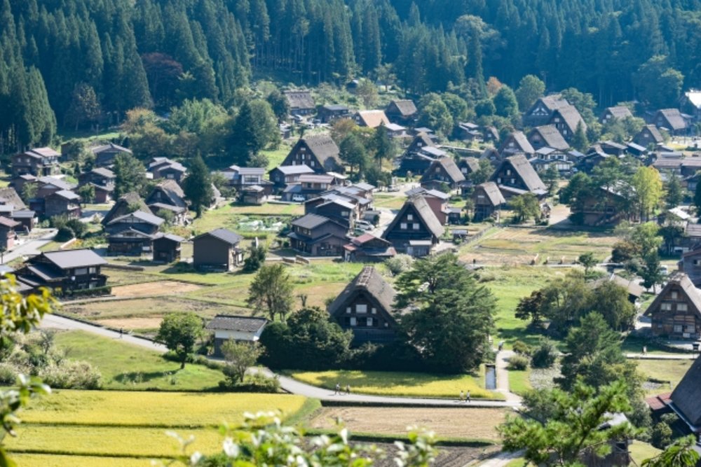 白川鄉合掌村點燈2023|4大預約方法!白川鄉行程+交通懶人包