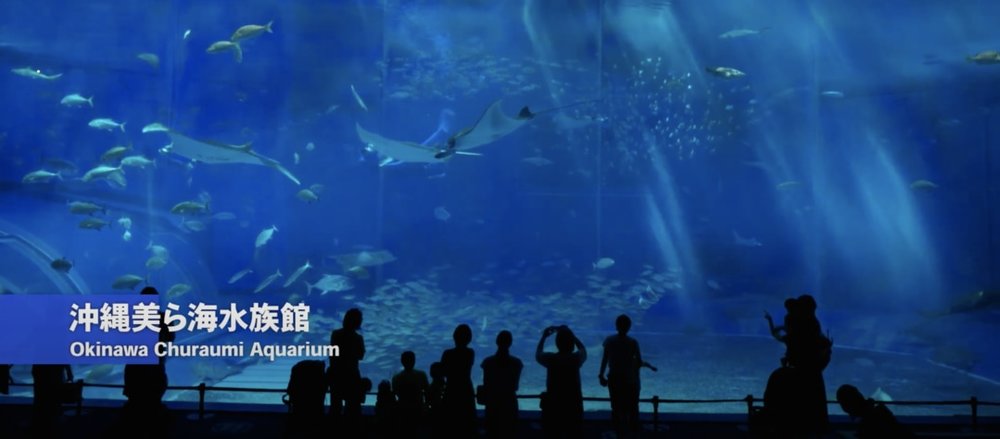 美ら海水族館